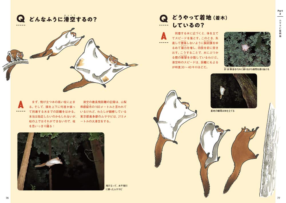 飛べ ムササビ 観察のポイントからフィールドサインまで さとし 熊谷 本 通販 Amazon