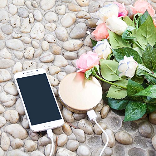 image for shinngo 3000mAh Portable Charger Mirror Compact Vanity Mirror with Lig