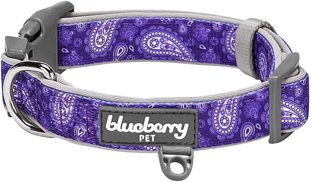 Blueberry Pet 5 Patterns Soft & Comfy Paisley Flower Print Neoprene Padded Adjustable Dog Collar, Violet, Large, Neck 18"-26" : Pet Supplies