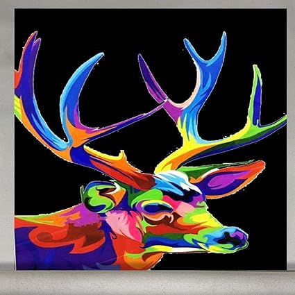 Paint by Numbers for Adults Oil Painting DIY Kits on Canvas for Beginners,