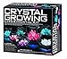 Kangaroo Experimental Crystal Growing Kit