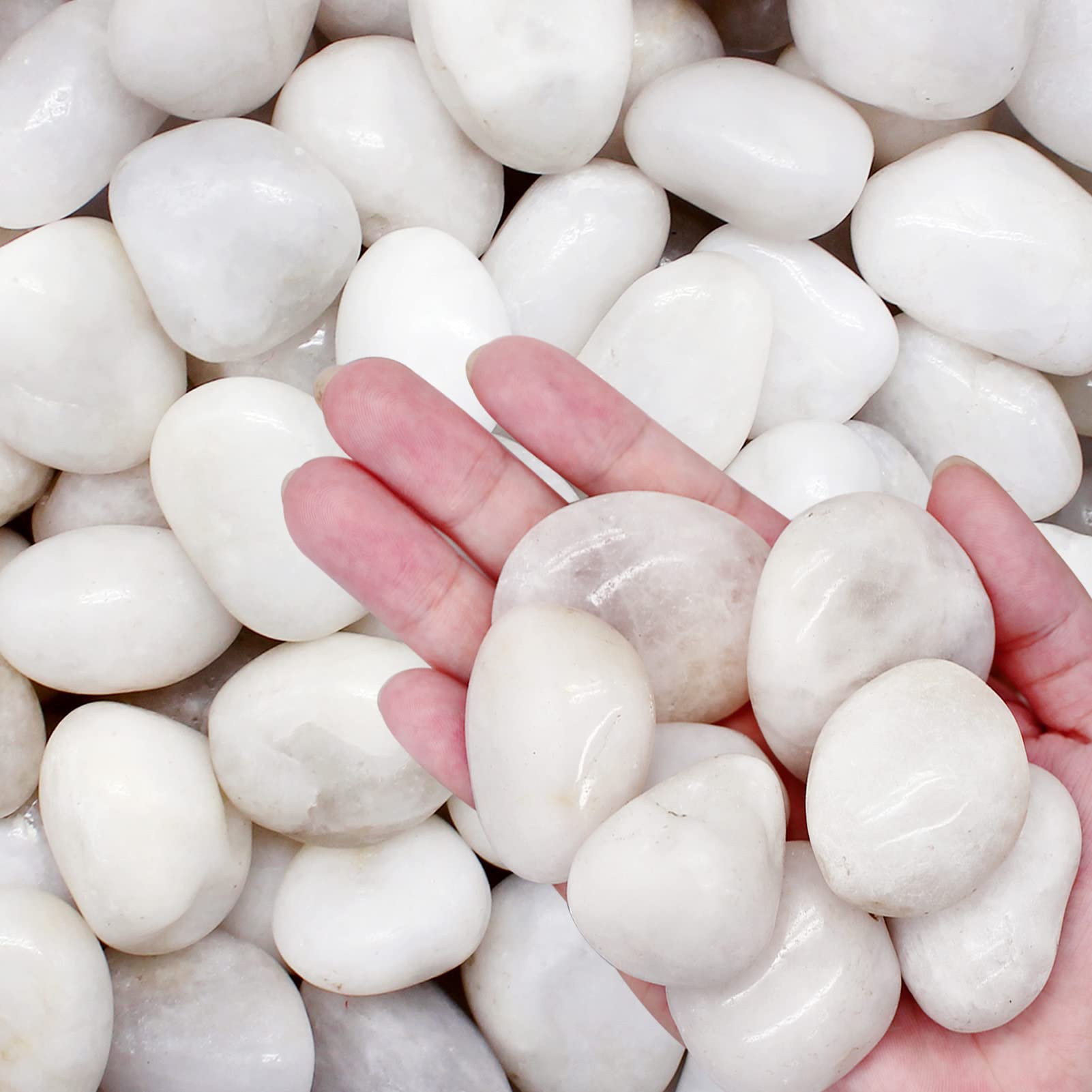 Aleker River Rock Stones Pebbles, Natural Decorative Polished Mixed White Pebbles Gravel for Garden, Plant Pots, Landscaping, Ponds, Terrariums Vase Fillers, DIY, Home Decor etc (3-5cm, 2.2lb)