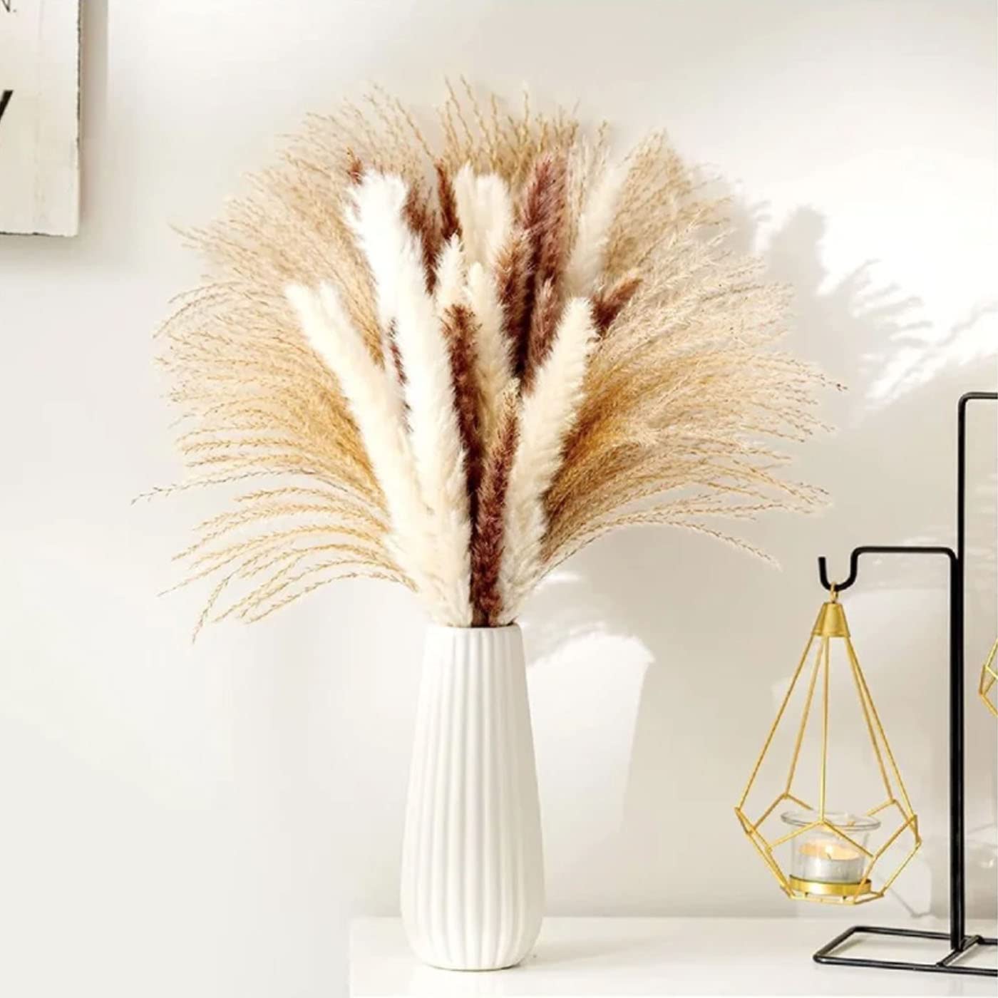 Natural Pampas Grass Decor - 65PCS Natural Dried Pampas Grass,17" Fluffy Pampas Grass Plants, Short Pampas Grass Bouquet Pampas Grass for Wedding Home Decor Arrangements Boho Decor