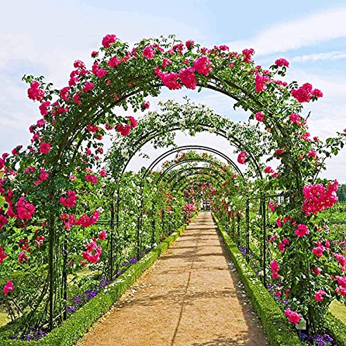 SuoANI Metallgartenbogen, Gartenlaube Zum Klettern Von Weinreben Und Pflanzen Rosenbogen Für Rosen Kletterpflanzen… – Bild 2