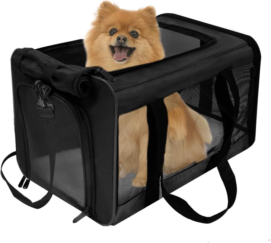 puppy carriers for walking