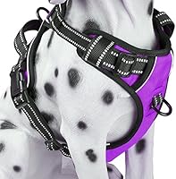 PoyPet No Pull Dog Harness, Reflective Vest Harness with 2 Leash Attachments and Easy Control Handle for Small Medium...
