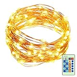 33ft LED String Lights Dimmable with Remote Control, ALPULON Waterproof Lights for Christmas Decorations,Parties,Bedroom,Patio,Garden,Gate,Yard,Outdoor(Copper Wire Lights, Warm White)