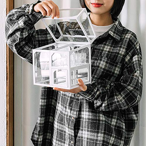 Makeup Brush Holder for Vanity, Flip lid with Dust Proof, Glass Makeup Organizer , Brushes and