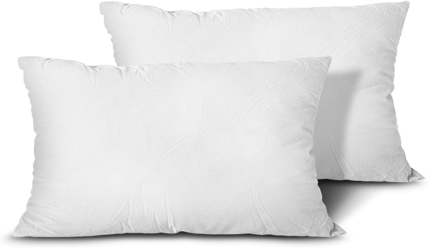 Edow Throw Pillow Inserts, Set of 2 Lightweight Down Alternative