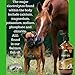 LARGE 32 FL OZ Bottle 100% Natural Product Liquid Salmon Fish Oil for Dogs, Cats, Horses, Omega 3, High in Fatty Acids - Healthy Skin & Coat - Supports Eye & Joint Health, Pet, Electrolyte Supplements