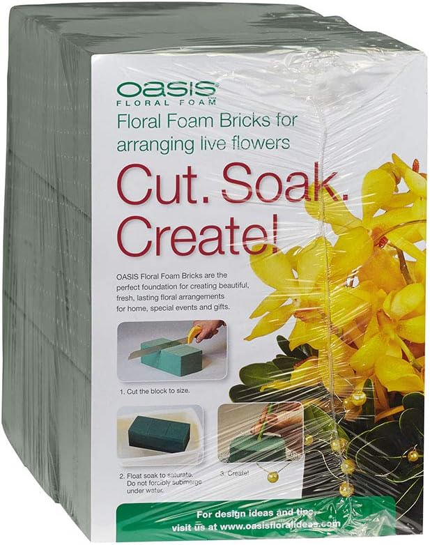 OasisGreen Floral Foam, 6 Pack, Small, Adult, Indoor, No Batteries Required