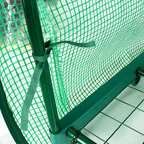 BeGrit 2 Tier Mini Greenhouse with Shelves & Cover Portable Compact Garden Growhouse Sturdy Steel Frame Flower Shelter with Reinforced PE Cover & Tie Wraps (H93cm x W49cm x L72cm)