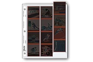 Archival 120 Size Negative Pages Holds Three Strips of Four 6 x 6 Frames, Pack of 25