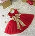 Sleeveless Girl Bridesmaid Dresses A Line Knee Ball Gown Sequin Baby Clothing for Little Kids Ball Gown Tutu Summer Formal Prom Pageant Dress 24 Months (Red, 100)