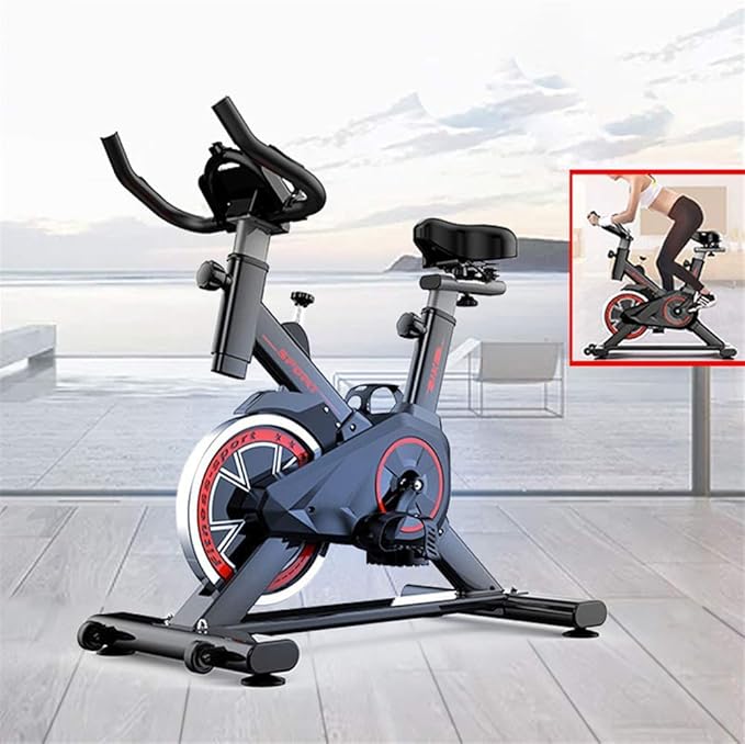 LNDDP Indoor Exercise Bike Spinning Cycling