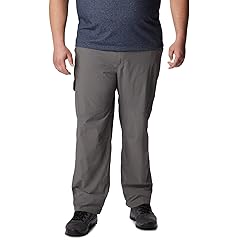 Columbia Men's Silver Ridge Cargo Pant, City