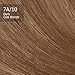 Clairol Natural Instincts 10 Sandalwood Dark Cool Blonde 1 Kit (Pack of 3) (packaging may vary)