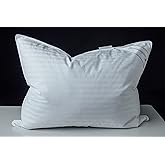 Eastwarmth Goose Down Feather Soft Pillows One Pillow 100% Cotton Supportive Bed Pillow Stripe White Color Standard Size 20x26 inch