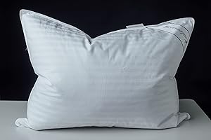 Eastwarmth Goose Down Feather Soft Pillows One Pillow 100% Cotton Supportive Bed Pillow Stripe White Color Standard Size 20x2
