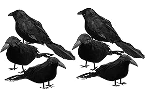 Sizonjoy 6 Pack Halloween Black Feathered Crows, Halloween Decorations Realistic Bird Halloween Ravens Decor Props