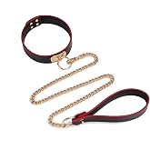Choker Necklace for Women Black Leather Collar and Leash Set for Cosplay, Goth Punk Rave Accessories Gothic Jewelry Dresses Sexy Collar for Girls
