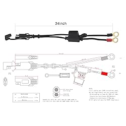 Sae to O Ring Terminal Harness 2FT - Sae Eyelet