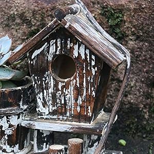 SXWDLHB Fatto A Mano in Legno Bird House Solid Succulente Vaso di Fiori in Vaso Creativo Birdhouse 25 * 12 * 22cm