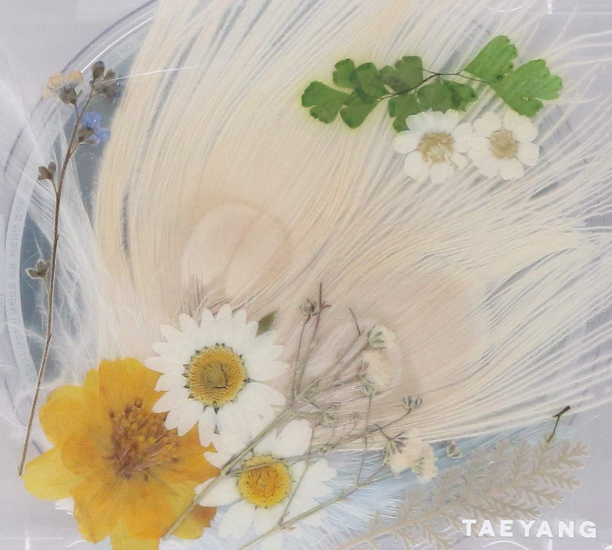 TAEYANG - White Night - Amazon.com Music