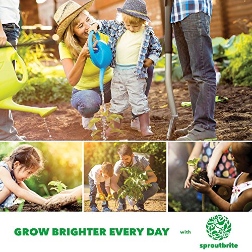 Sproutbrite Bonsai Tree Seed Starter Kit - Grow 5 Trees from Seed - The Most Complete Gardening kit for Growing Mini Bonsai Trees Indoors