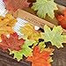 CEWOR 1000pcs Assorted Artificial Maple Leaves Mixed Fall Colored for Wedding Home Thanks-Giving Events and Outdoor Decoration (Artificial Maple Leaves)
