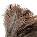 Ostrich Feather Duster - Washable Hand Duster for Cleaning, Household Dusting with Wooden Handle, Brown - 14.5 Inches