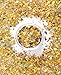 Chunky Cosmetic Holographic Glitter I Body, Face & Hair Safe I 16 Pack + 1 Glitter Primer (Blue)