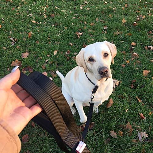 image for Dutchy Brand Pets Lovers Club Black Dog Leash - Sturdy Nylon Strap - P