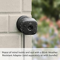 Blink Mini 2 — Home Security & Pet Camera(s) with