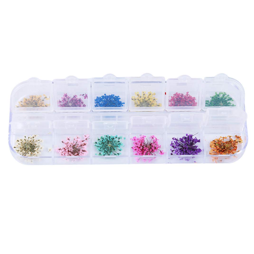 Airlove Dried Flowers for Nail Art, Dry Flowers Mini Real Natural Flowers Nail Art Supplies 3D Applique Nail Decoration Sticker