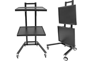 PINELICORN 2 Tier Metal Rolling Cart, Stainless Steel Salon Tray with Wheels, Foldable Utility Carts, Folding Salon Tray Trolley, Rolling Tray Salon Trolley for Tattoo (Black)