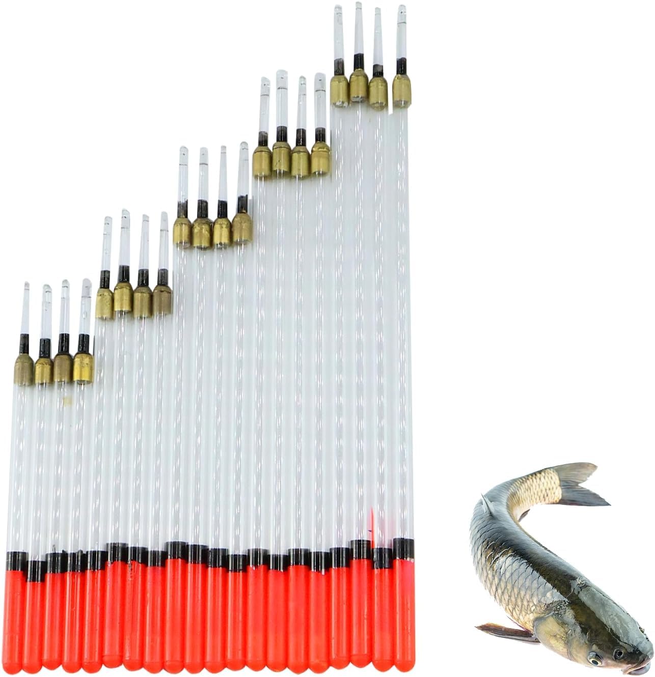 Rwoythk 20pcs Fishing Floats Accessories Coarse, Transparent Waggler Float Sea Carp Fishing Kit Rod Tackle Stops for Coarse Straight Insert for Fishing In Stillwater and Running Waters, 5 Size