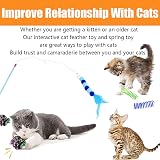Speedy Panther 12 Pcs Cat Toys Indoor Plush Catnip Teaser Wand Spring Kit view 5