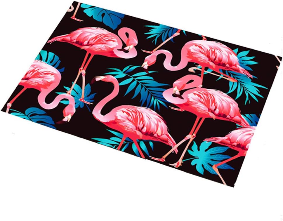 Eanpet Front Door Mat Outdoor Flamingo Rug 2x3 Modern Area Rug Rubber Pretty Mat Non Slip Indoor Outdoor Doormat Waterproof Shoes Scraper Entryway Rug Home Decor Exterior Welcome Mat Black1