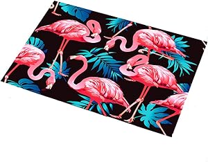 Eanpet Front Door Mat Outdoor Flamingo Rug 2x3 Modern Area Rug Rubber Pretty Mat Non Slip Indoor Outdoor Doormat Waterproof Shoes Scraper Entryway Rug Home Decor Exterior Welcome Mat Black1