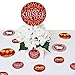 Big Dot of Happiness Chinese New Year - 2025 Year of the Snake Giant Circle Confetti - Party Decorations - Large Confetti 27 Count
