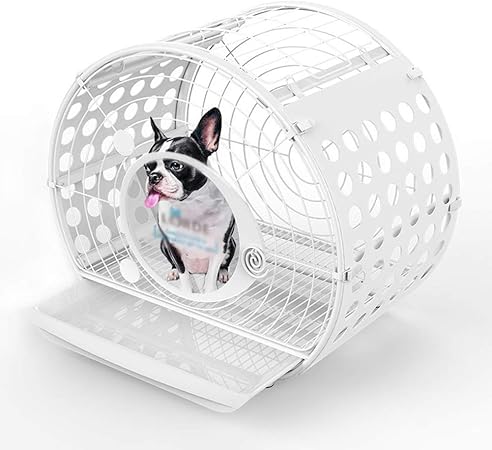 Cage Dintérieur Pour Chien Avec Cage Petit Chien Cage