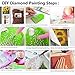 Diamond Painting Kits for Adults - 5D DIY Full Drill Diamond Art Kit with Round Rhinestone , Paint with Diamond for Home Wall Decor (Dancer)