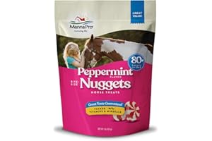 Manna Pro Bite-Size Nuggets for Horses – Horse Training Treats – Peppermint Flavored Treats for Horses – 1 LB