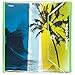 Mead Trapper Keeper Round Ring Binder, 1.5 Inch, Fashion Wave & Palm Trees, Blue/Green (73425)