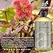 Aceite De Ricino Castor Para El Cabello La Piel y Pestañas Cejas 100% Natural Puro y Organico Estimula El Crecimiento del Pelo y Uñas 365 Días De Garantía Incluida.