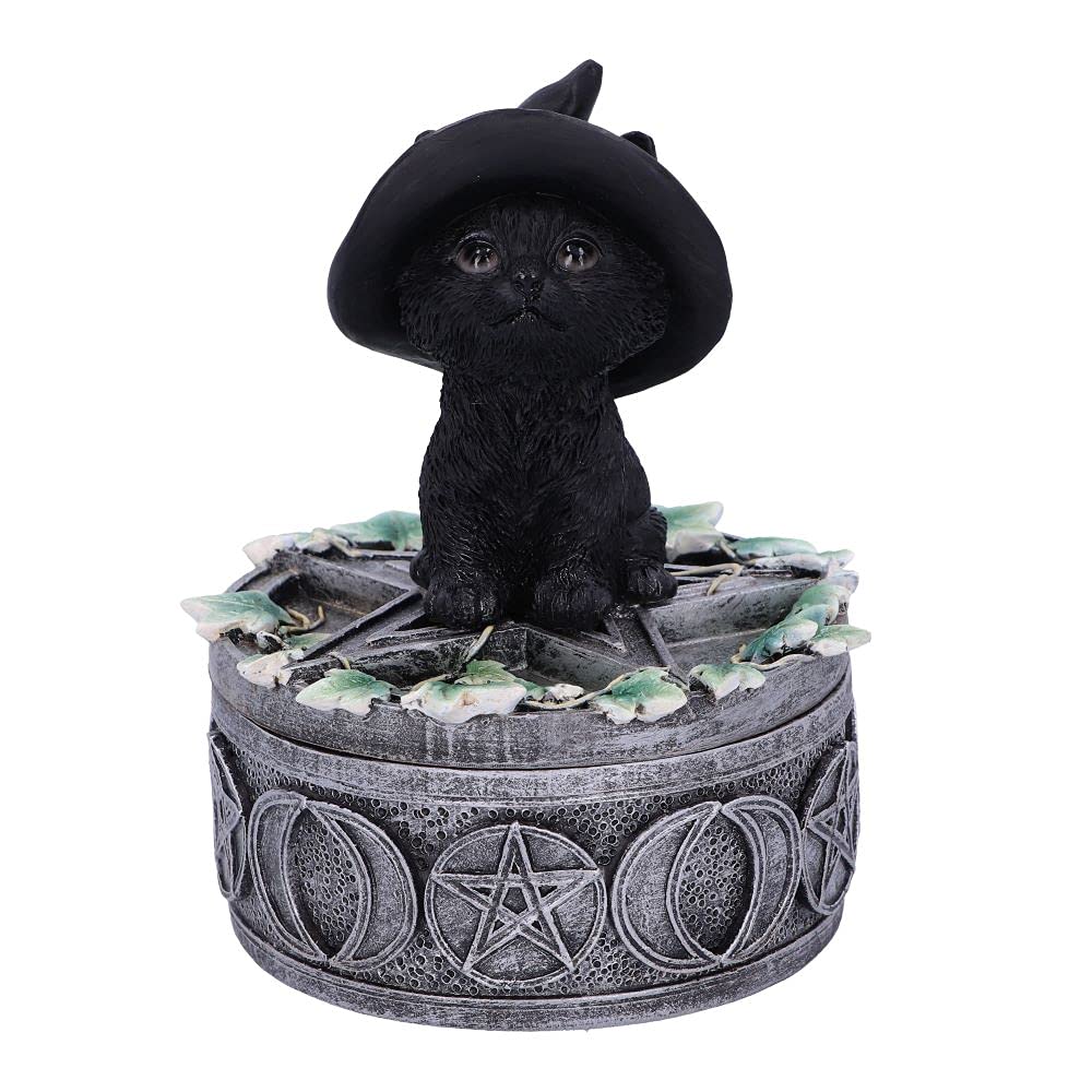 Nemesis Now Cats of The Coven Small Figurine, Resin, Black, 15cm