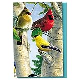 Tree-Free Greetings EcoNotes 12 Count Favorite Songbirds All Occasion Notecard Set with Envelopes, 4 x 6 Inches (FS66507)