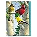 Tree-Free Greetings EcoNotes 12 Count Favorite Songbirds All Occasion Notecard Set with Envelopes, 4 x 6 Inches (FS66507)