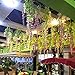Mavee 12 Piece 3.6 Feet Artificial Silk Wisteria Vine Ratta Hanging Flower for Wedding Décor (White)